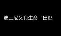 迪士尼又有生命“出逃” 这次是藏在LOEWE包上的小飞象